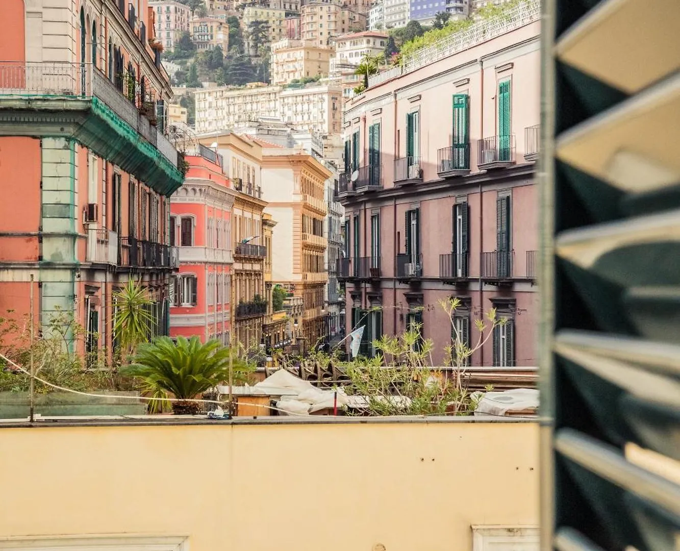 May Flower Luxury Naples Guest house